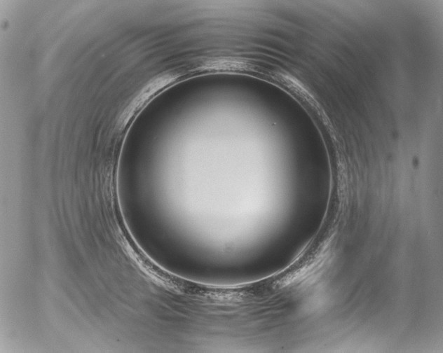 X0000054371041200507291041