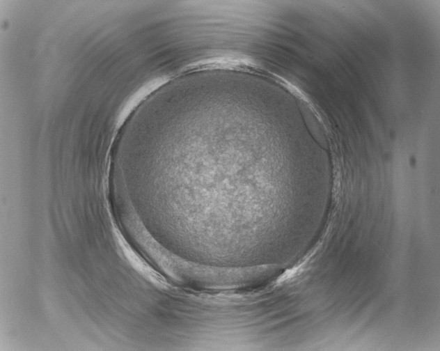 X0000054371042200507291042