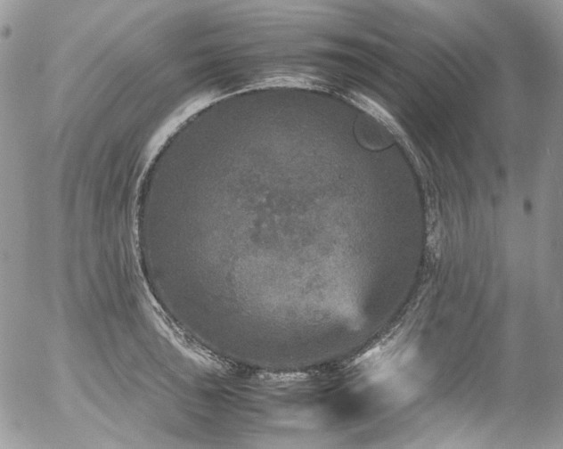 X0000054371043200507291042