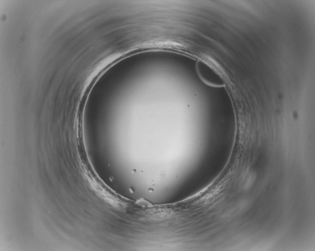 X0000054371044200507291042