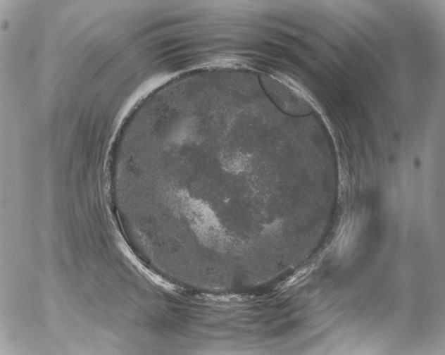 X0000054371045200507291042