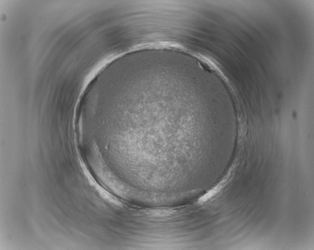 X0000054371046200507291042