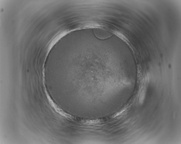 X0000054371047200507291042