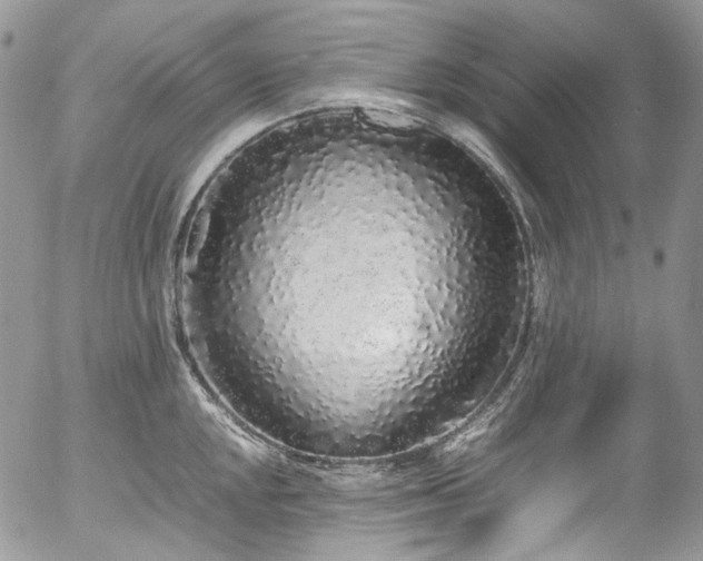 X0000054371048200507291042