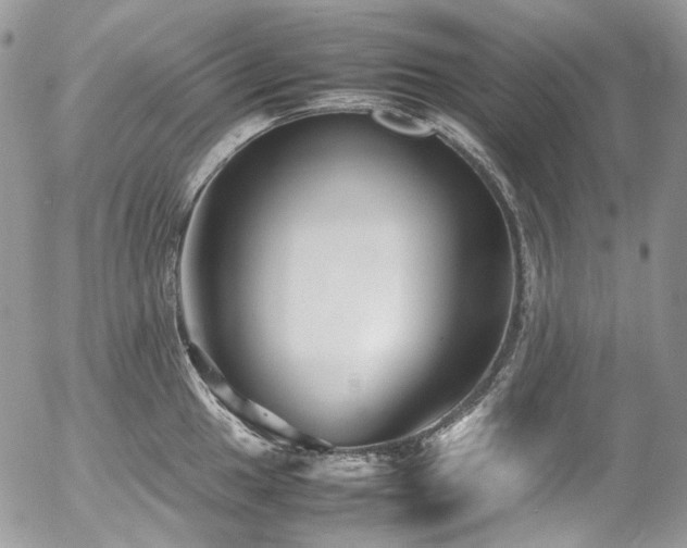 X0000054371049200507291042