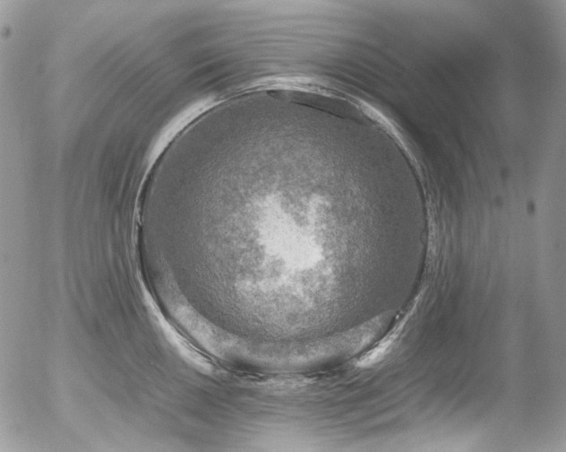 X0000054371050200507291042