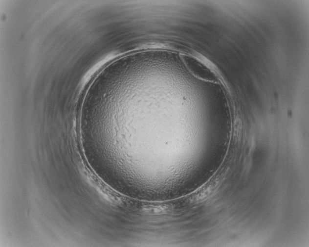 X0000054371051200507291042