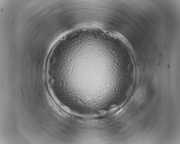 X0000054371052200507291042