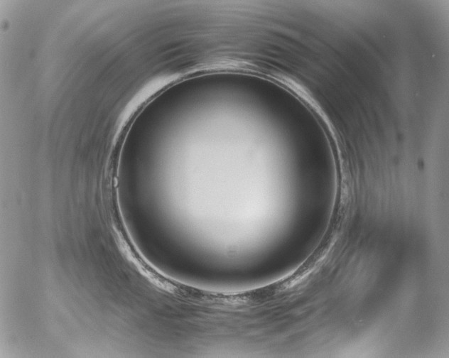 X0000054371053200507291042