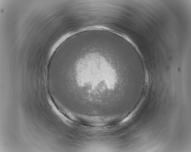 X0000054371054200507291042