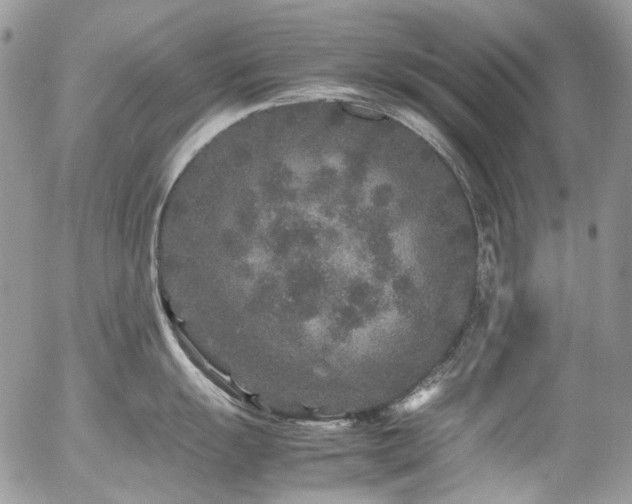 X0000054371055200507291042