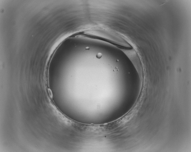 X0000054371056200507291042