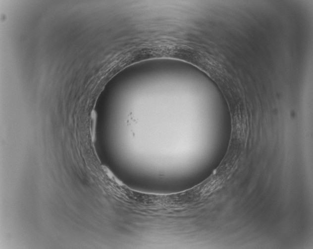 X0000054371057200507291041