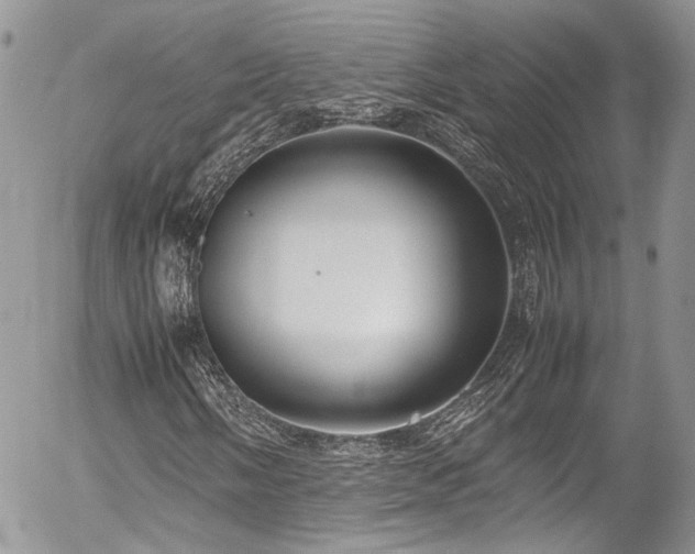 X0000054371058200507291041