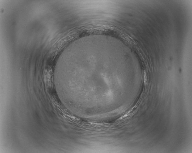 X0000054371059200507291041