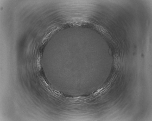 X0000054371060200507291041