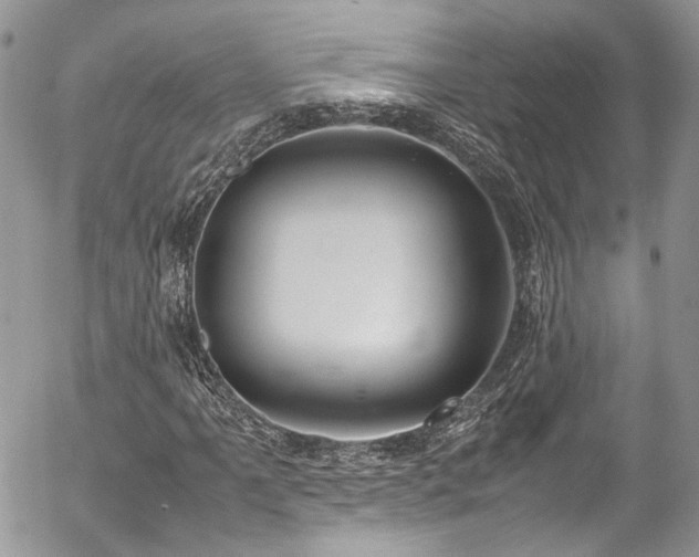 X0000054371061200507291041