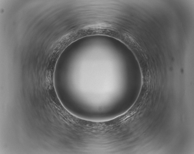 X0000054371062200507291041