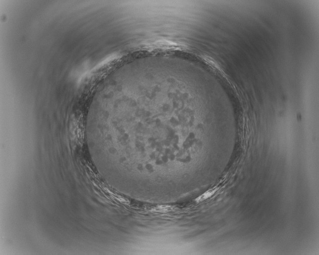 X0000054371063200507291041