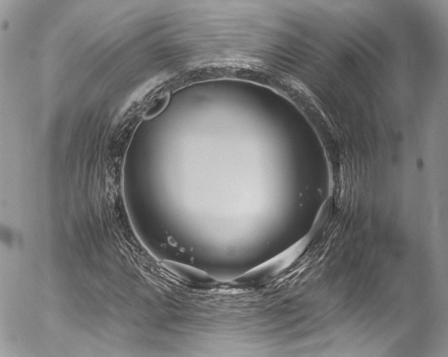 X0000054371064200507291041