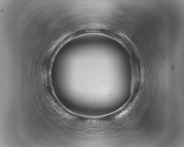 X0000054371065200507291041