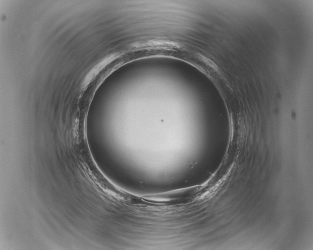 X0000054371066200507291041