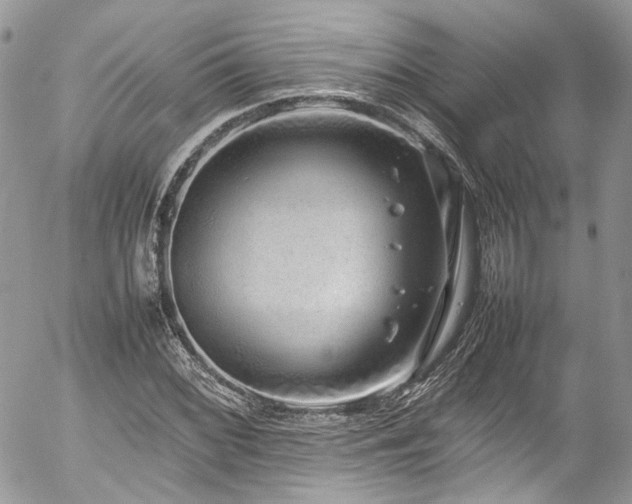 X0000054371068200507291041