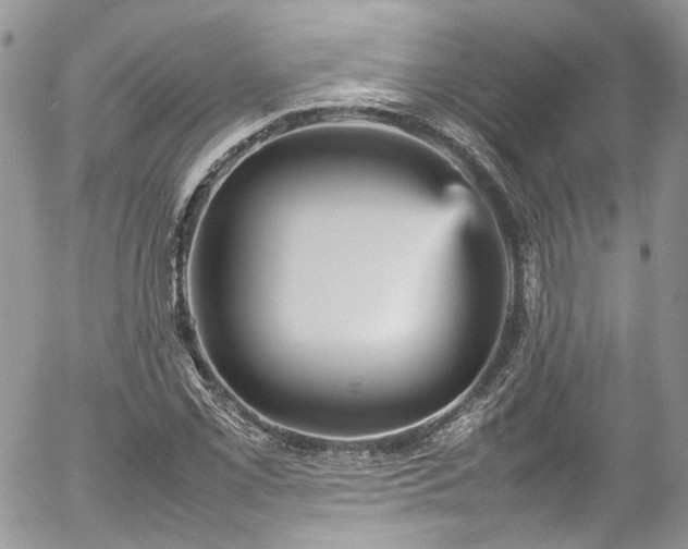 X0000054371069200507291041