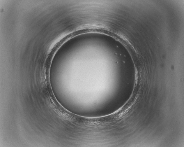 X0000054371070200507291041