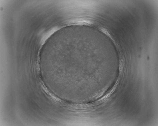 X0000054371071200507291041