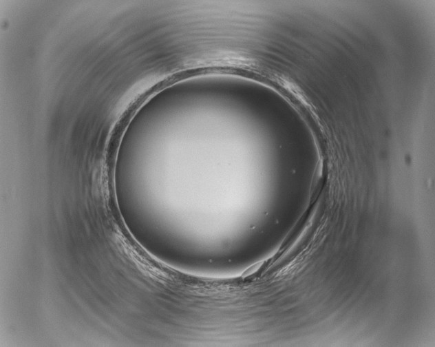 X0000054371072200507291041