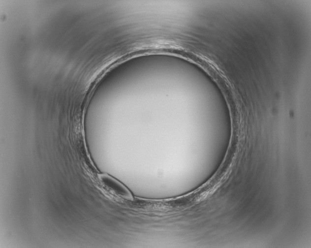 X0000054371073200507291041