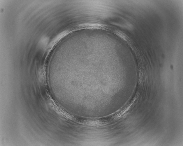 X0000054371074200507291041