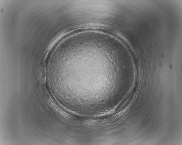 X0000054371075200507291041