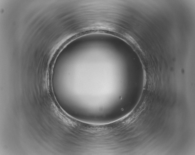 X0000054371076200507291041