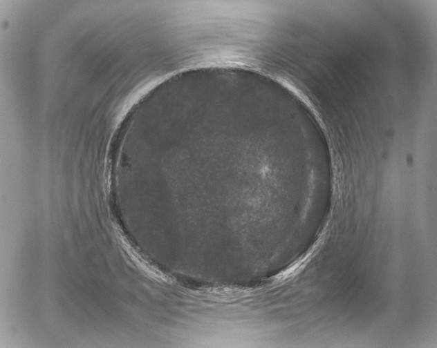 X0000054371077200507291041