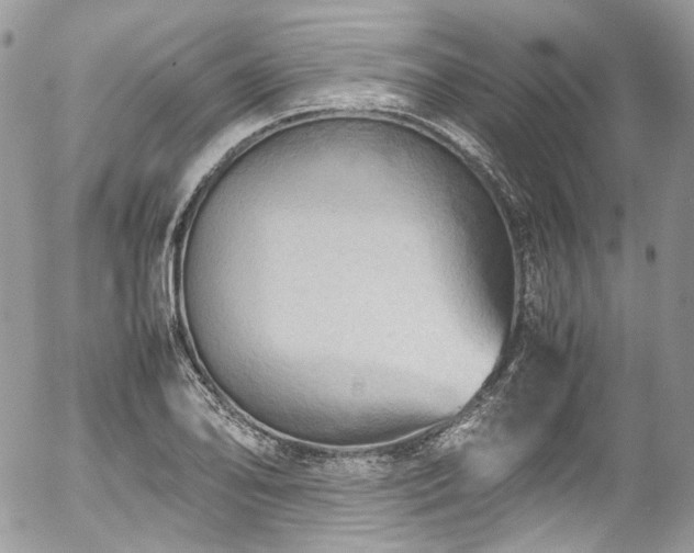 X0000054371078200507291041