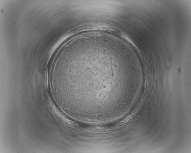 X0000054371079200507291041