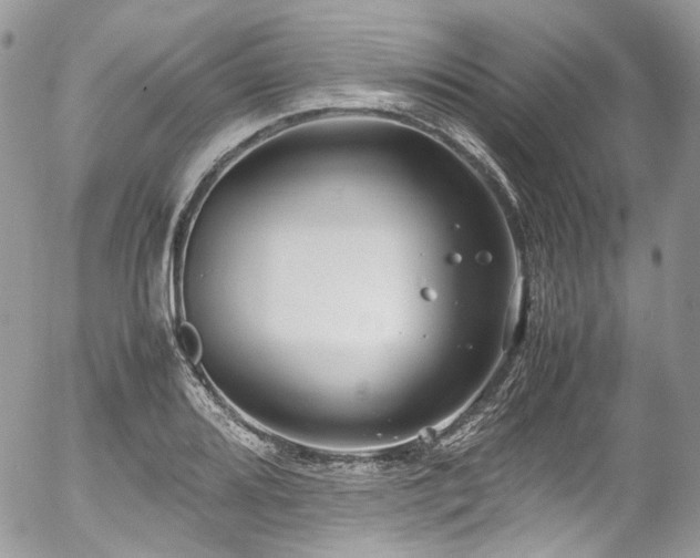 X0000054371080200507291041