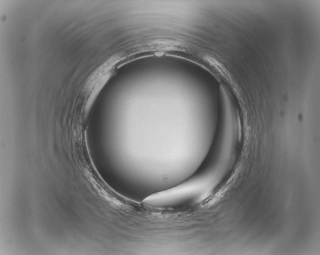 X0000054371081200507291041