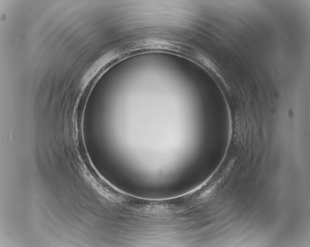 X0000054371082200507291041