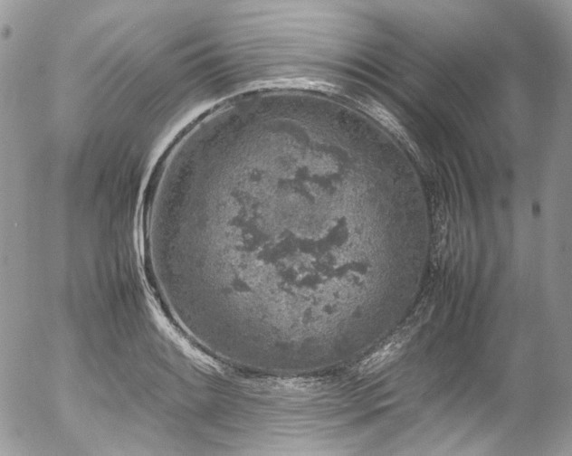 X0000054371084200507291041