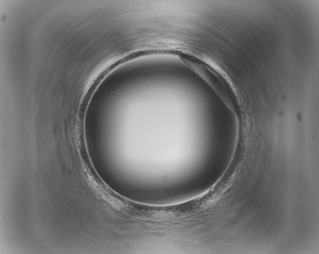 X0000054371085200507291040