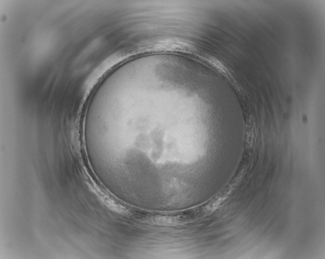 X0000054371086200507291040