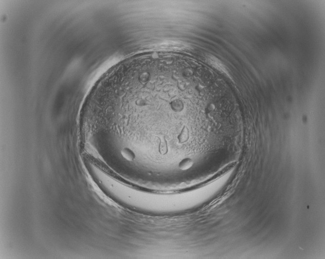 X0000054371087200507291040