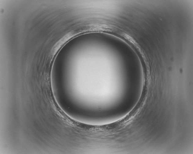 X0000054371089200507291040