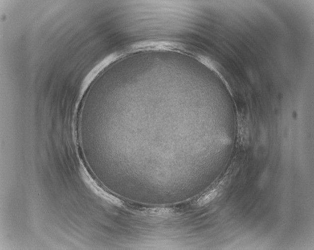 X0000054371090200507291040