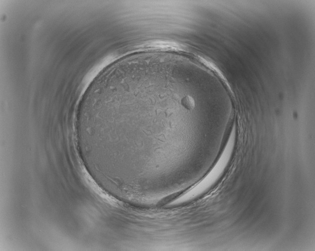 X0000054371091200507291040