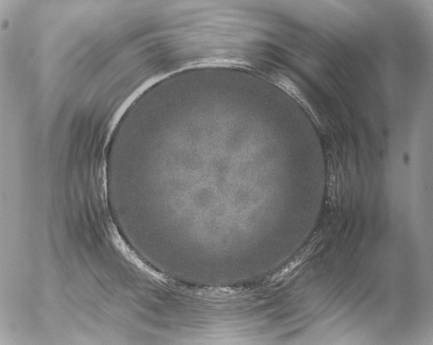 X0000054371092200507291040