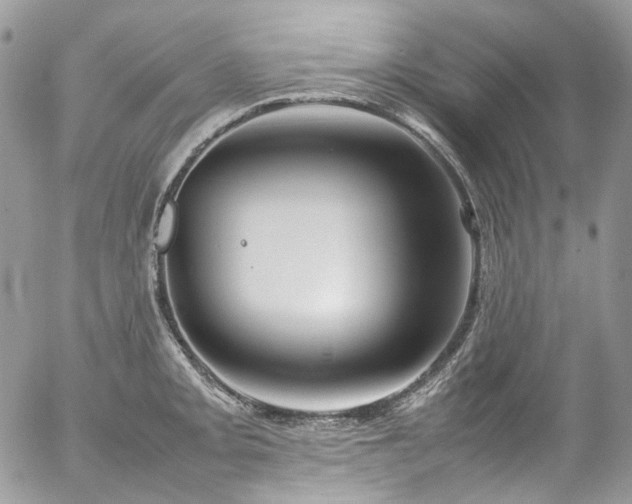 X0000054371093200507291040